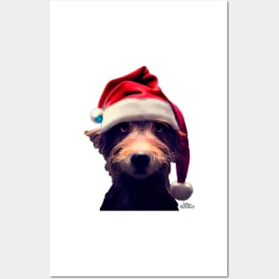 Grumpy Christmas Dog Posters and Art